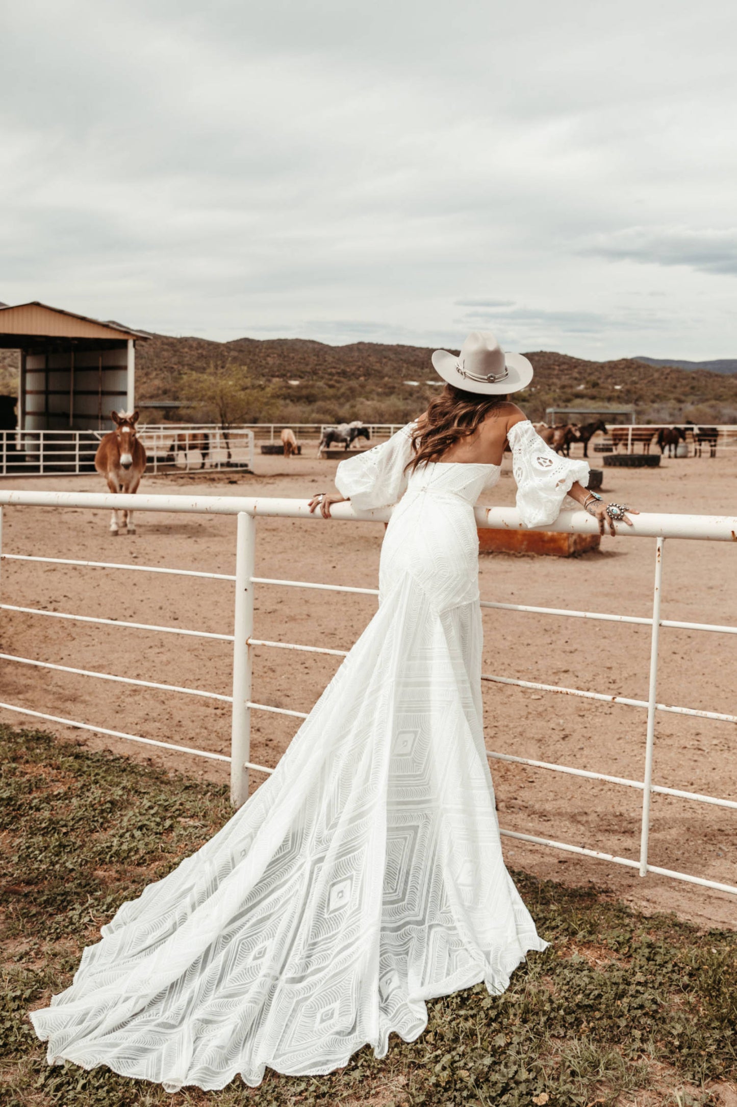 Arizona Gown
